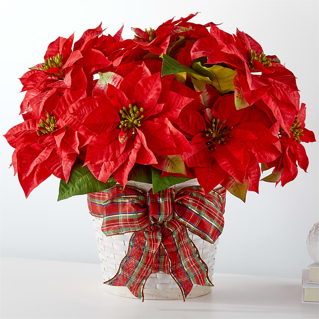 Happiest Holidays Poinsettia – Queen Ofe Florist, San Jose CA