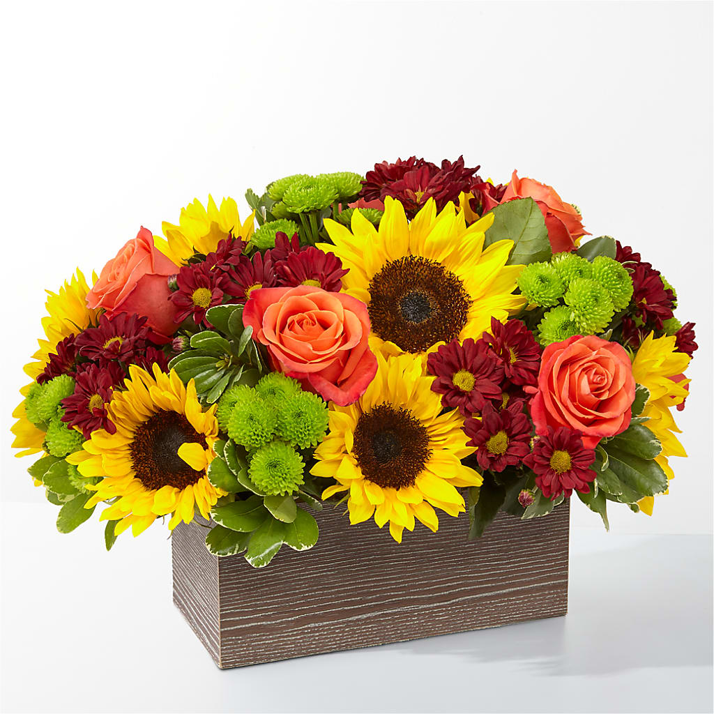 Happy Harvest Garden – Queen Ofe Florist, San Jose CA