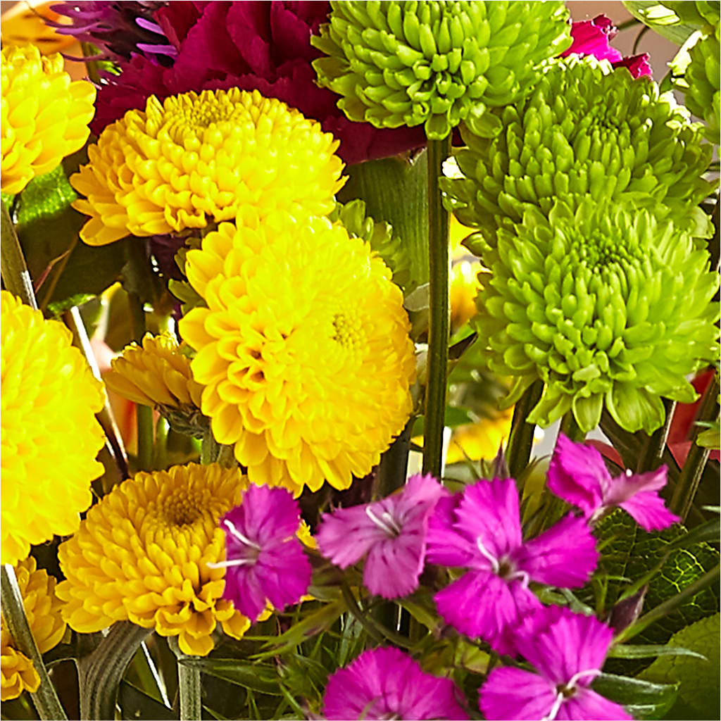 Bold & Bright – A Florist Original –  Queen Ofe Florist, San Jose CA