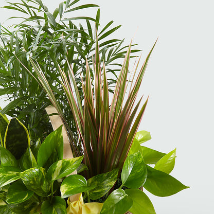 French Garden –  Queen Ofe Florist, San Jose CA