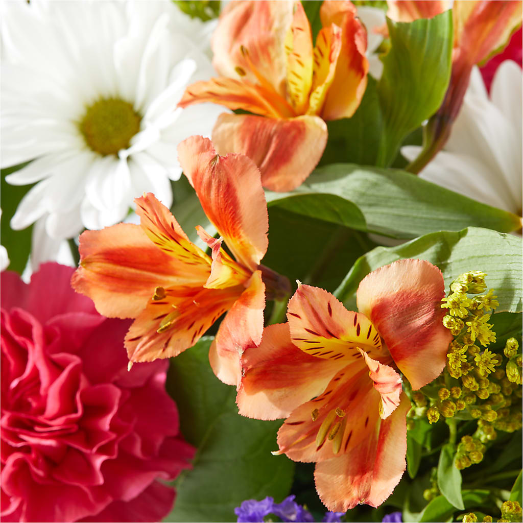 Oopsie Daisy Box Bouquet –  Queen Ofe Florist, San Jose CA