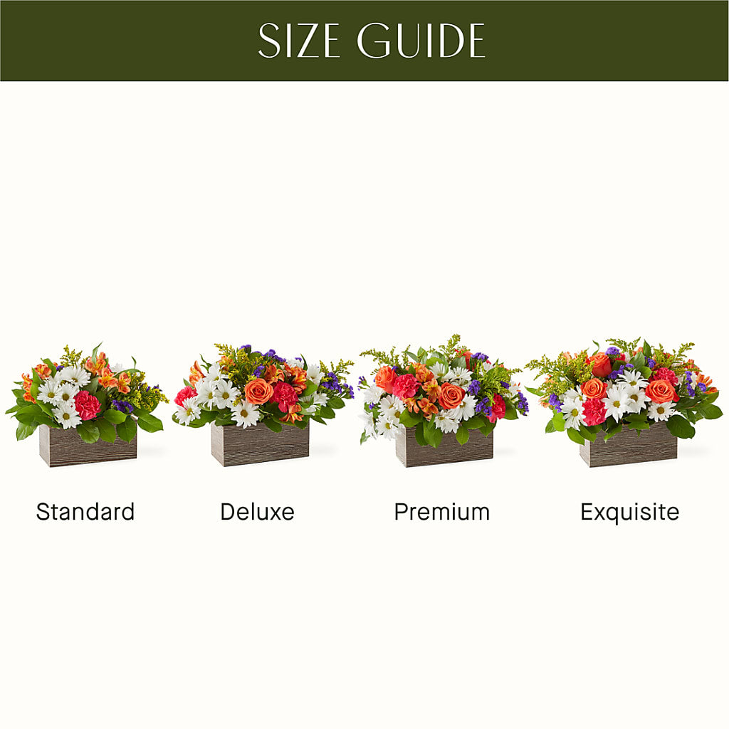 Oopsie Daisy Box Bouquet –  Queen Ofe Florist, San Jose CA