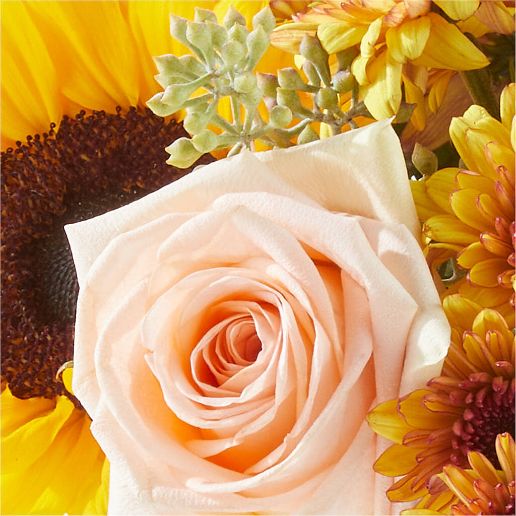 Pumpkin to Talk About Bouquet –  Queen Ofe Florist, San Jose CA