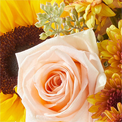 Pumpkin to Talk About Bouquet –  Queen Ofe Florist, San Jose CA
