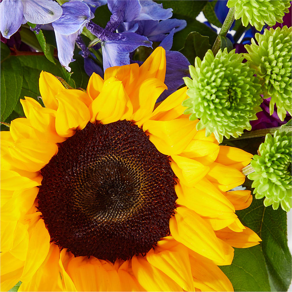 Catching Rays Bouquet –  Queen Ofe Florist, San Jose CA