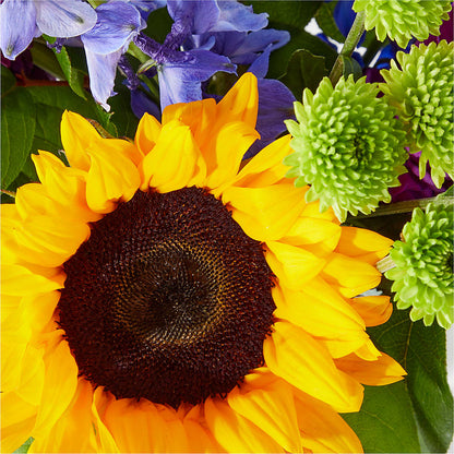 Catching Rays Bouquet –  Queen Ofe Florist, San Jose CA