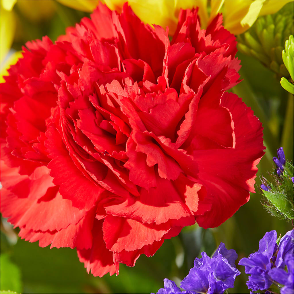 Brighter Days Bouquet –  Queen Ofe Florist, San Jose CA