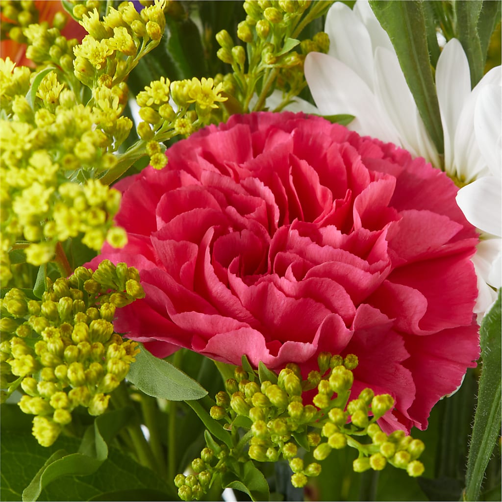 Oopsie Daisy Bouquet –  Queen Ofe Florist, San Jose CA
