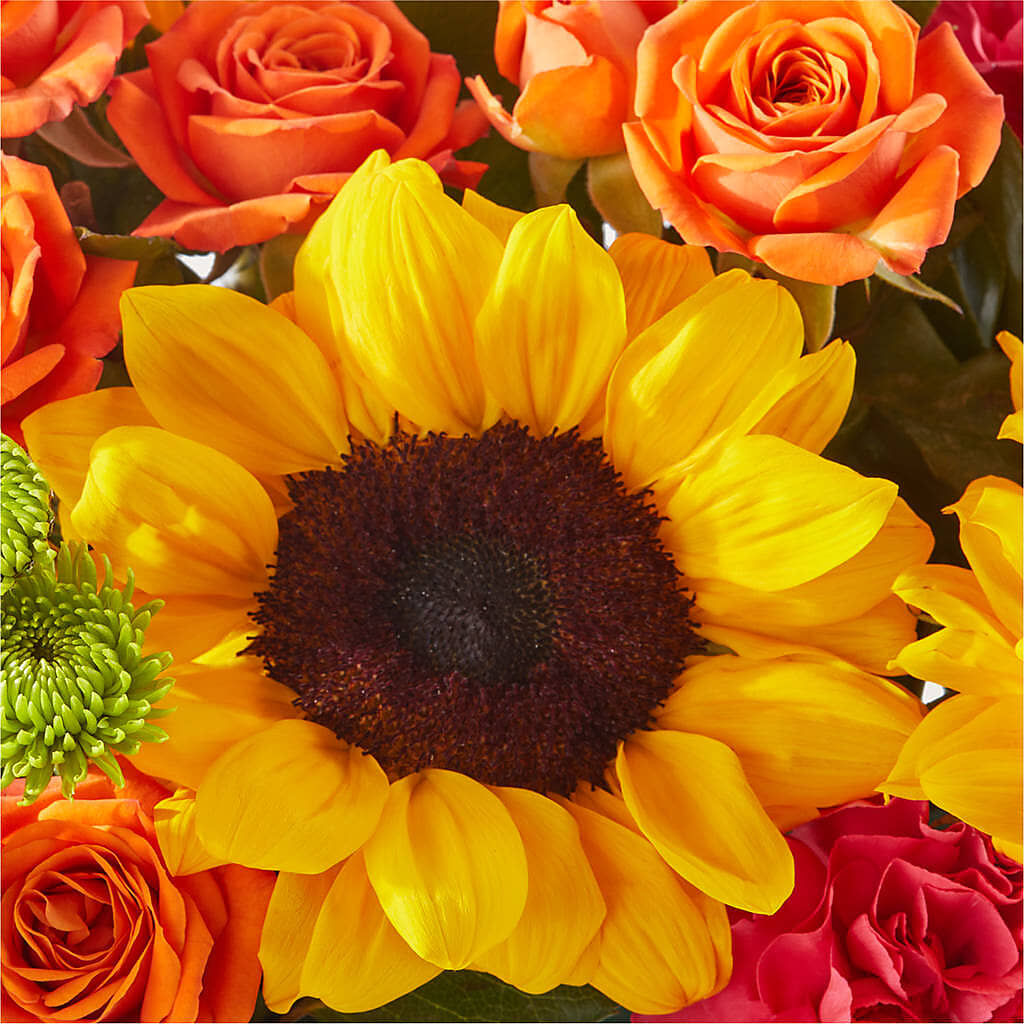 Sun-drenched Blooms Box Bouquet –  Queen Ofe Florist, San Jose CA