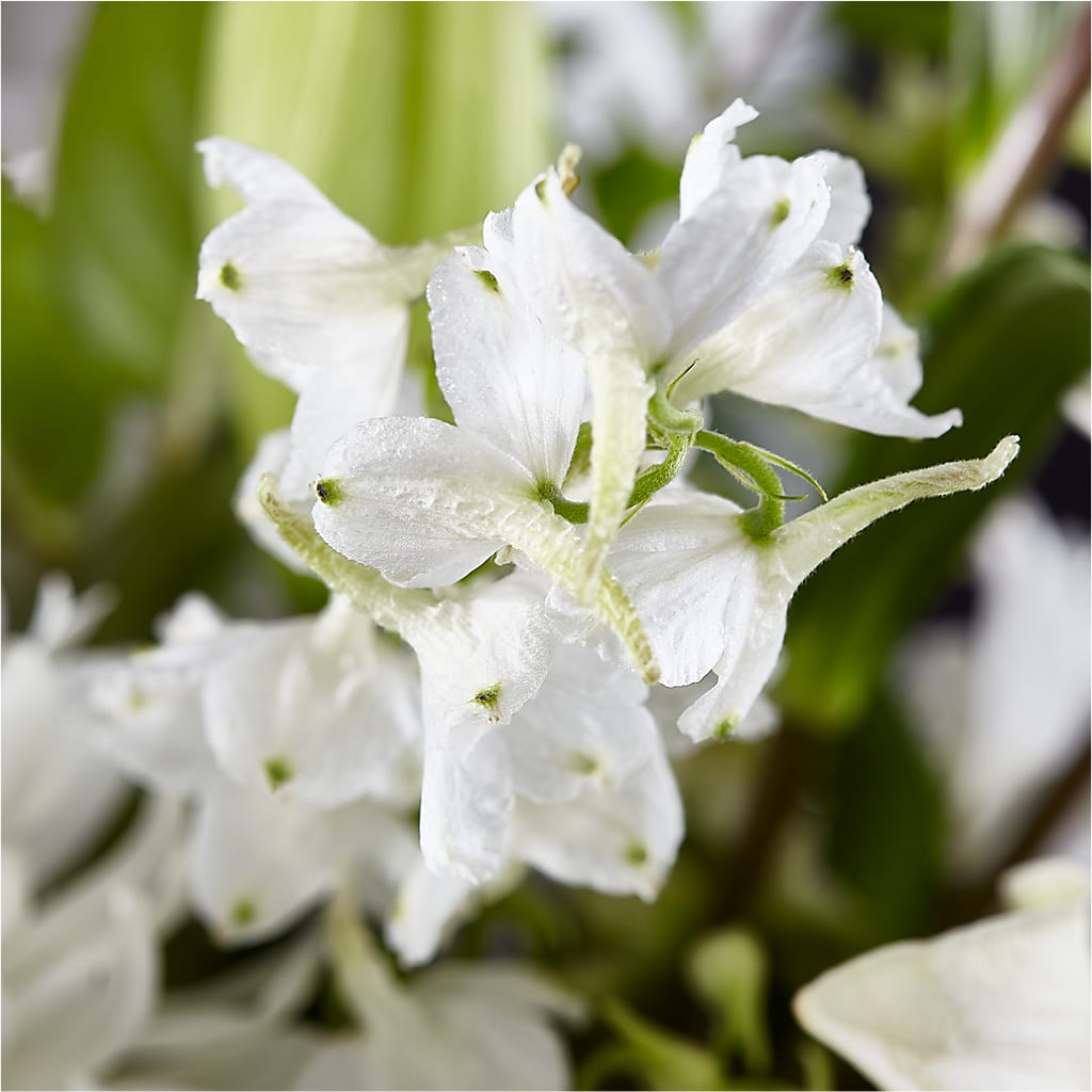 Classic Ivory – A Florist Original –  Queen Ofe Florist, San Jose CA