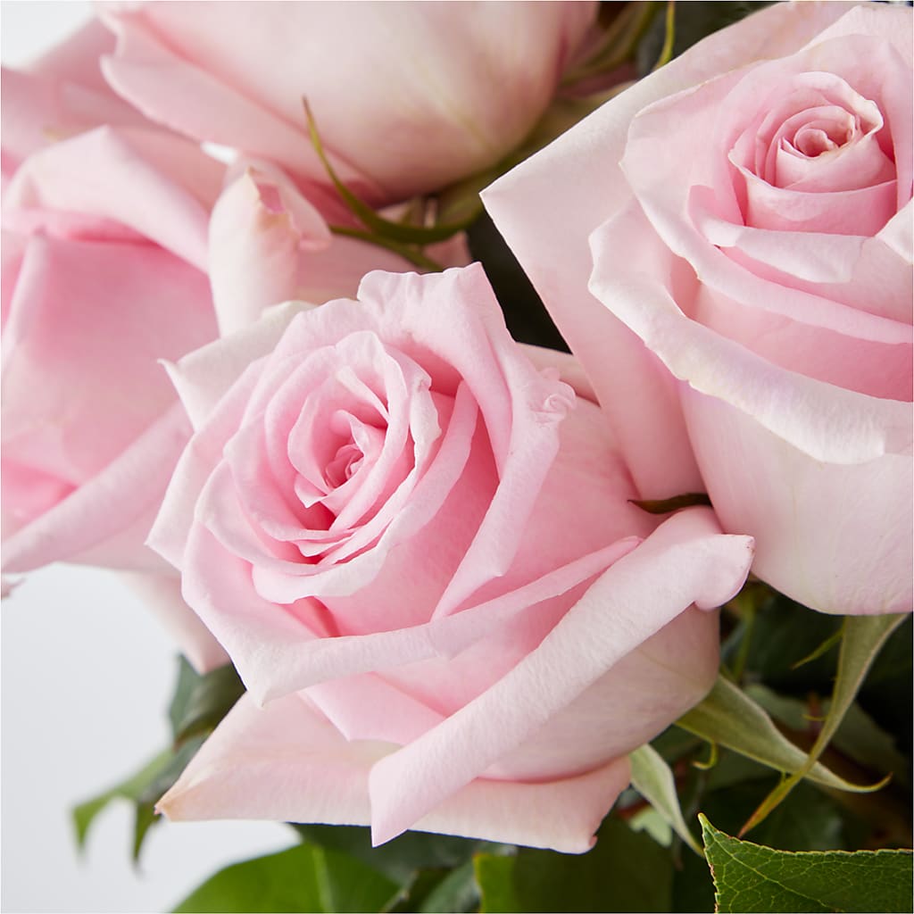 Picture Perfect Pink Rose Bouquet –  Queen Ofe Florist, San Jose CA