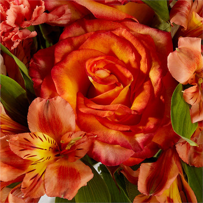 Apricot Glow Bouquet –  Queen Ofe Florist, San Jose CA