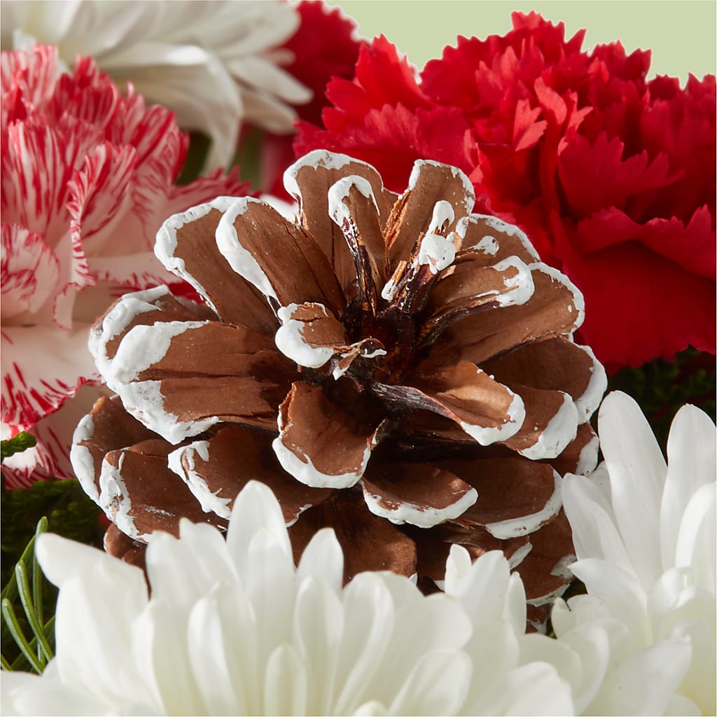 Candy Cane Lane Bouquet –  Queen Ofe Florist, San Jose CA