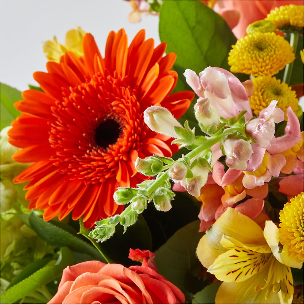 Autumn Sunshine Bouquet –  Queen Ofe Florist, San Jose CA