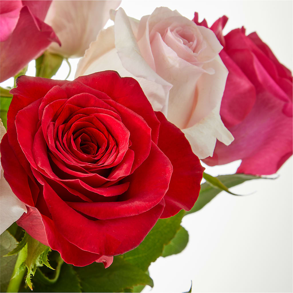 Charming Rose Bouquet –  Queen Ofe Florist, San Jose CA