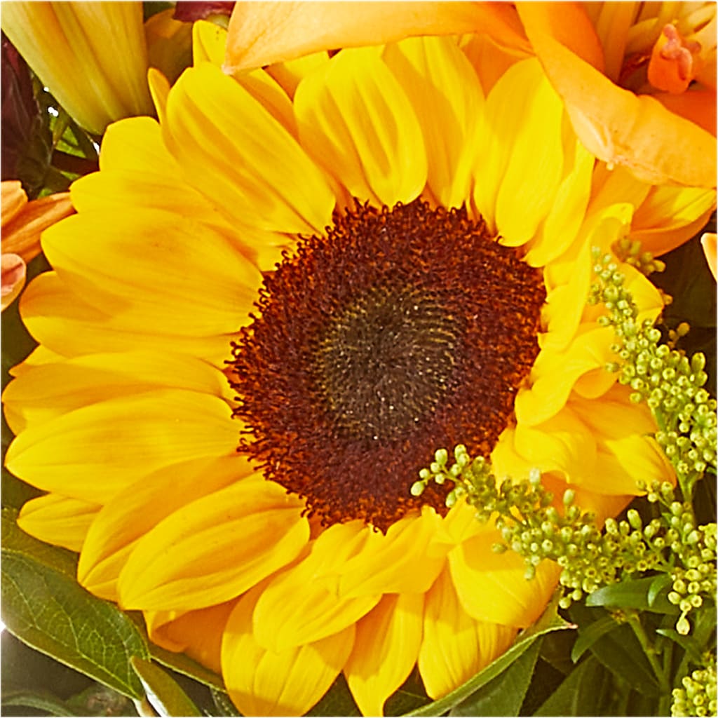 Seasons Change Bouquet –  Queen Ofe Florist, San Jose CA
