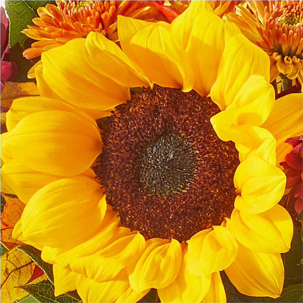 Sunny Side Bouquet –  Queen Ofe Florist, San Jose CA