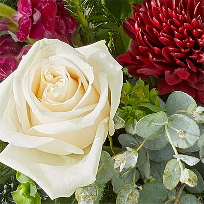 Cranberry Fizz Bouquet –  Queen Ofe Florist, San Jose CA