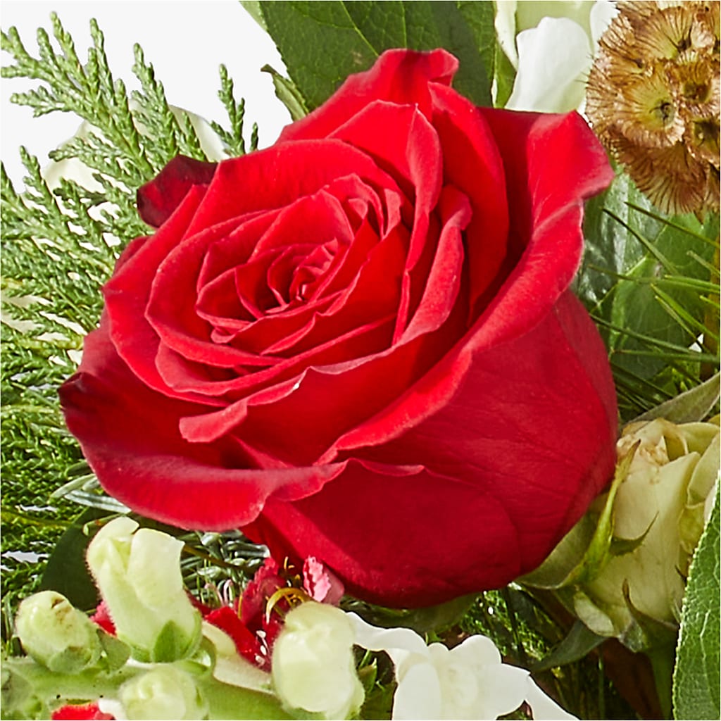 Deck the Halls Bouquet –  Queen Ofe Florist, San Jose CA