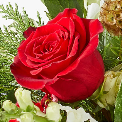 Deck the Halls Bouquet –  Queen Ofe Florist, San Jose CA