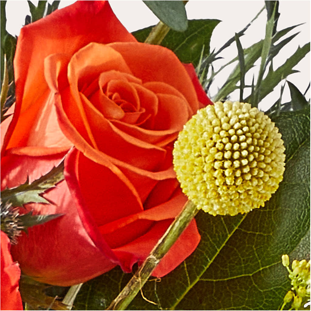Disco Bouquet –  Queen Ofe Florist, San Jose CA