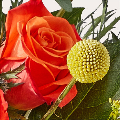 Disco Bouquet –  Queen Ofe Florist, San Jose CA