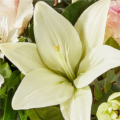 Ballet Slippers Bouquet –  Queen Ofe Florist, San Jose CA