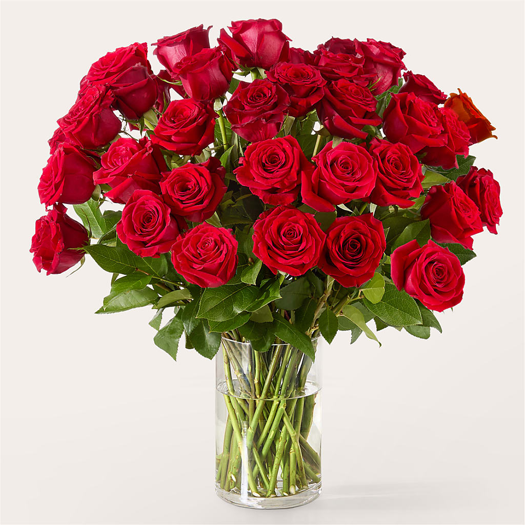 The One Red Rose Bouquet –  Queen Ofe Florist, San Jose CA
