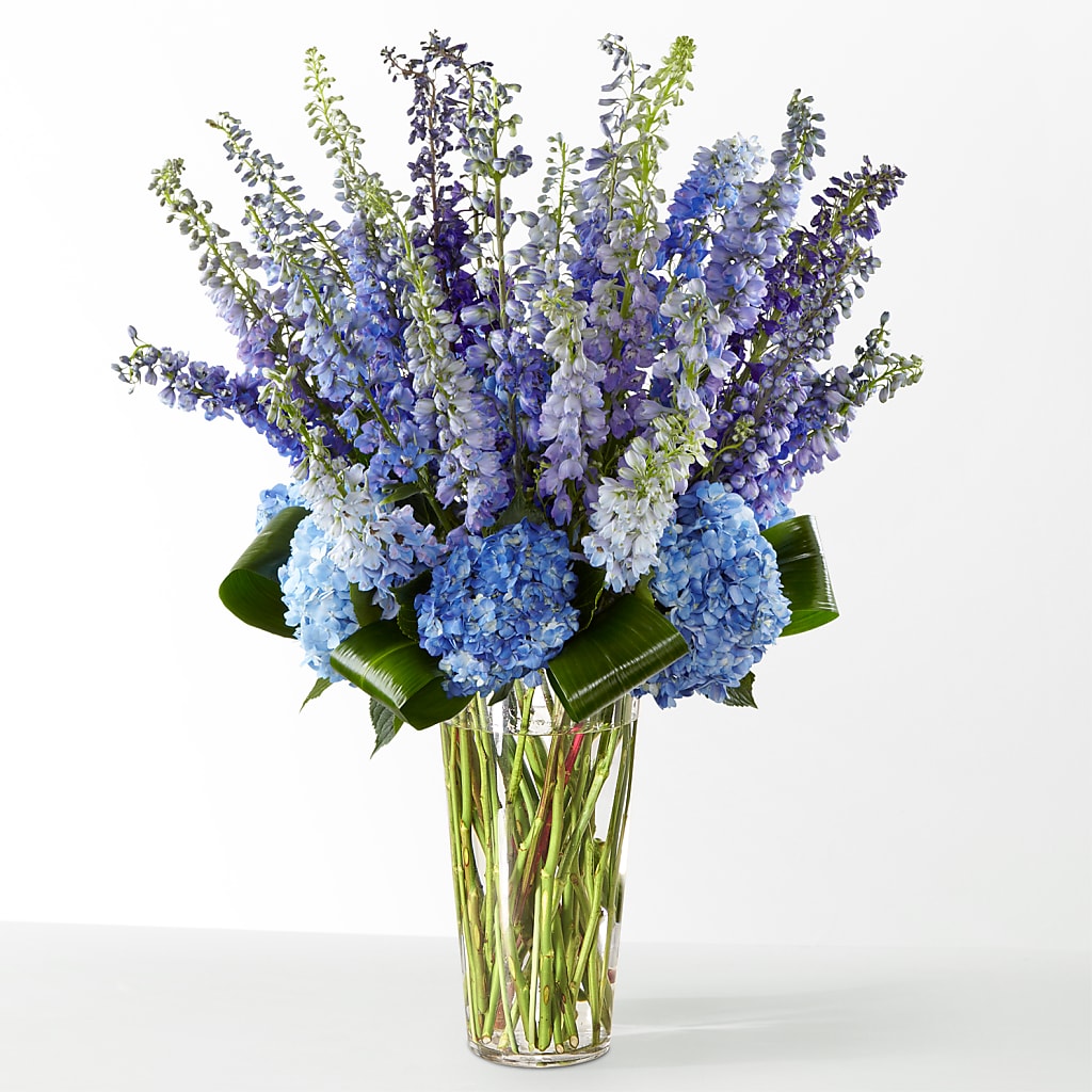 The Editorial –  Queen Ofe Florist, San Jose CA