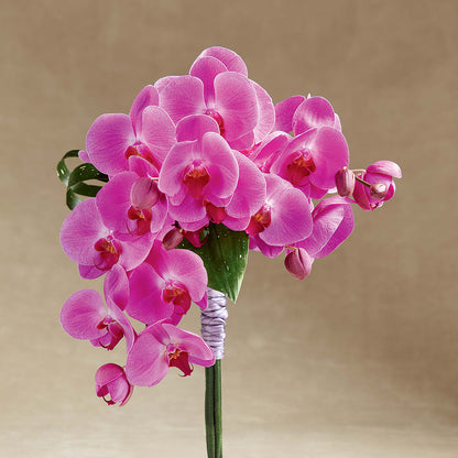Glorious Bouquet –  Queen Ofe Florist, San Jose CA