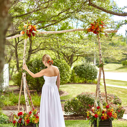 Arbor of Love Archway –  Queen Ofe Florist, San Jose CA