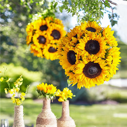 Sublime Garden Hanging Arrangement –  Queen Ofe Florist, San Jose CA