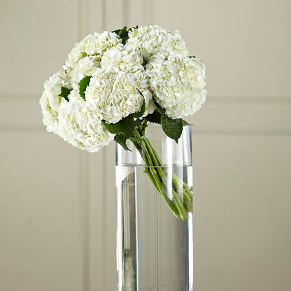 White Hydrangea Hand-Tied Bouquet –  Queen Ofe Florist, San Jose CA
