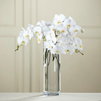 White Phalaenopsis Bouquet –  Queen Ofe Florist, San Jose CA