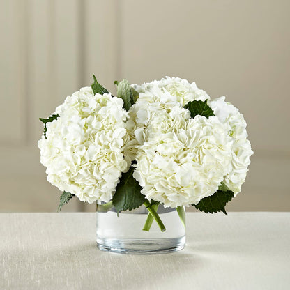 White Hydrangea Bouquet –  Queen Ofe Florist, San Jose CA